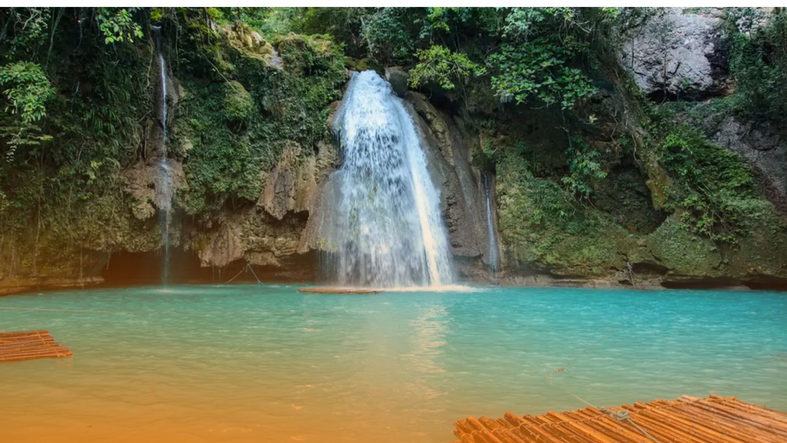 1D Oslob Private Tour