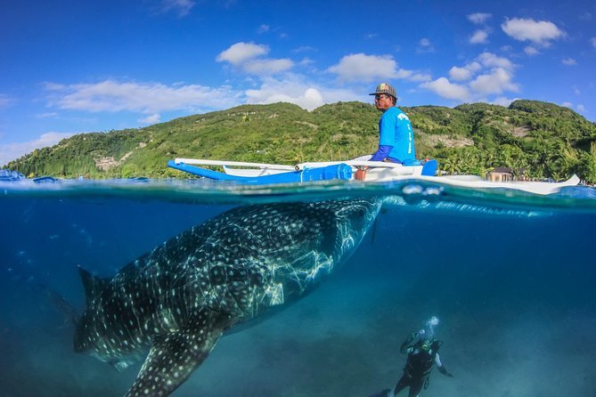 3D2N City Moalboal Oslob Private Tour