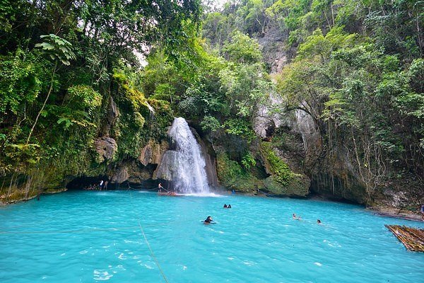 2D1N Moalboal and Oslob Private Tour