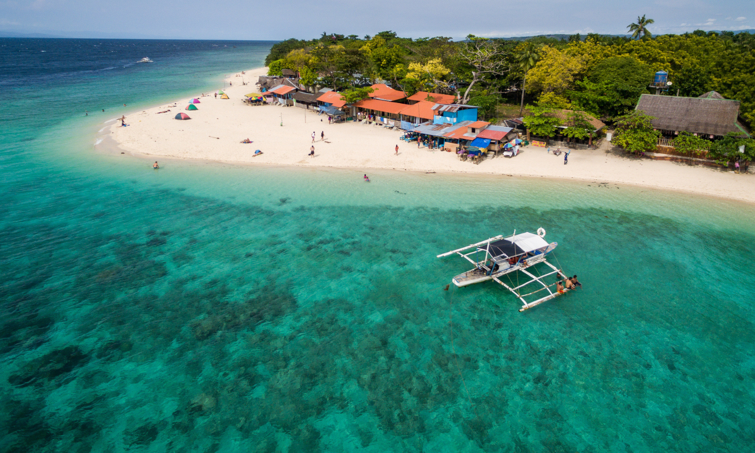 2D1N Moalboal Oslob Private Tour